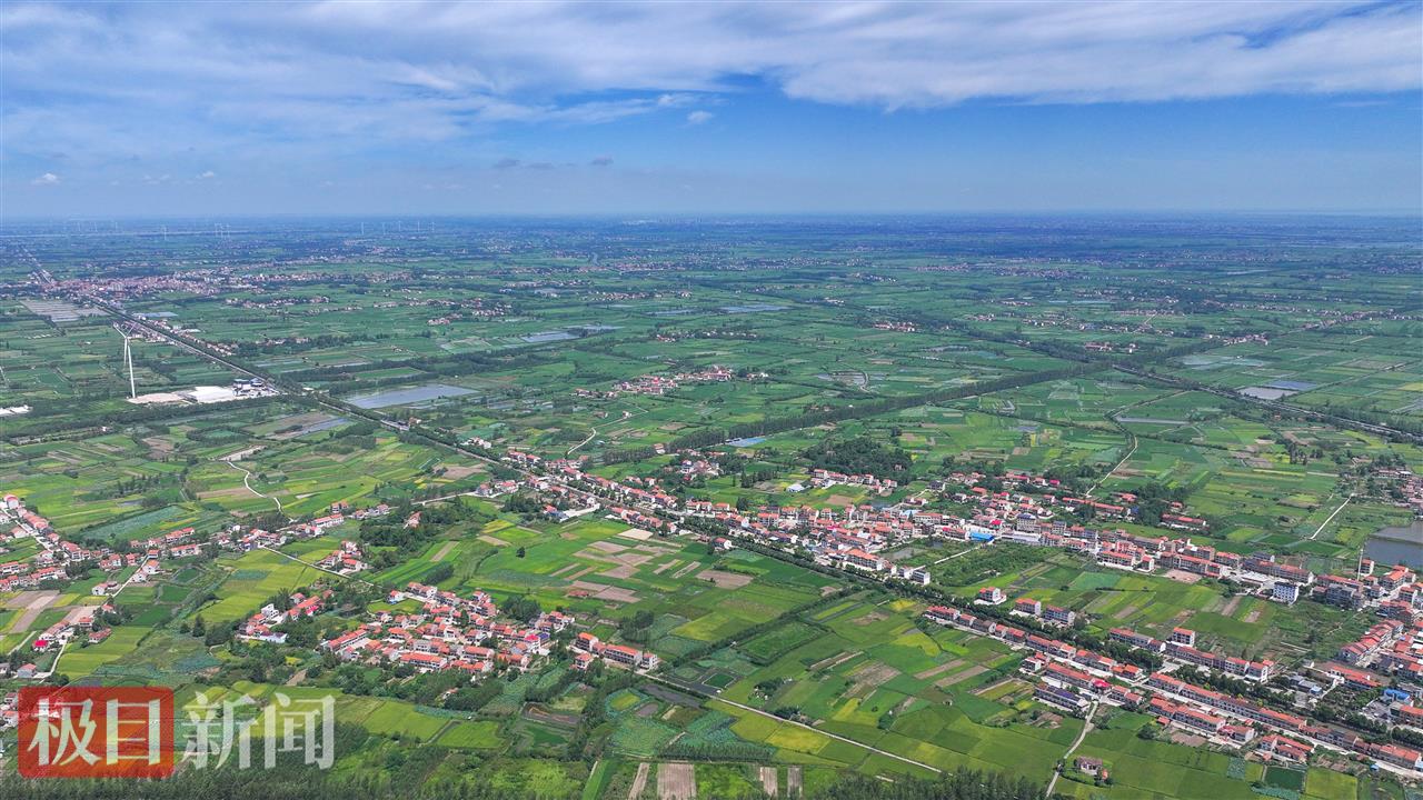 湖北省监利市“江汉大米”核心产地鸟瞰。（监利融媒记者 刘肖 摄）.jpg