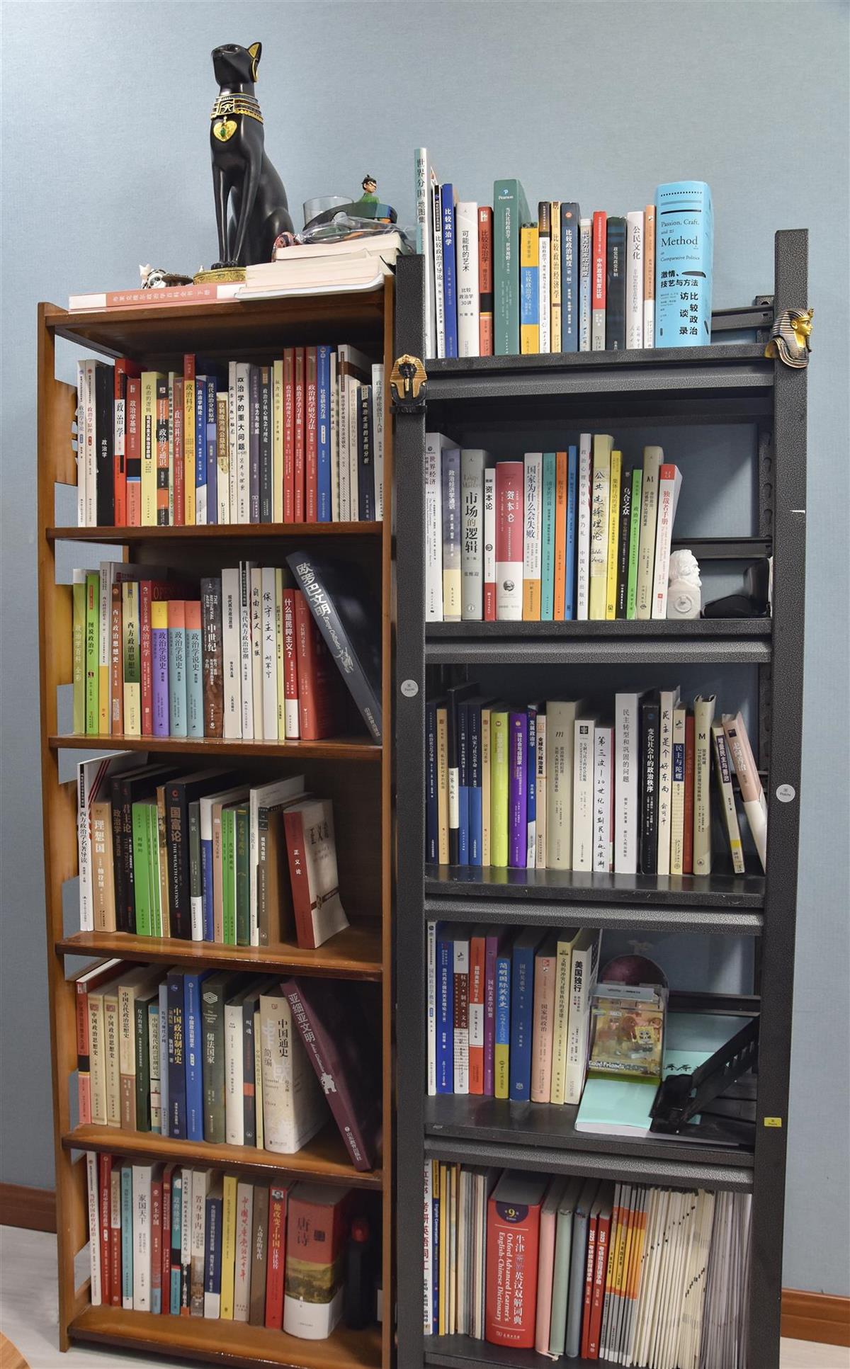 政治学书架1.JPG