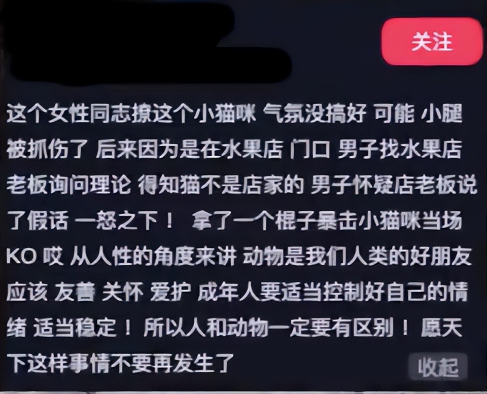 气愤！女友街边逗猫被抓伤，男友竟乱棍将猫打死