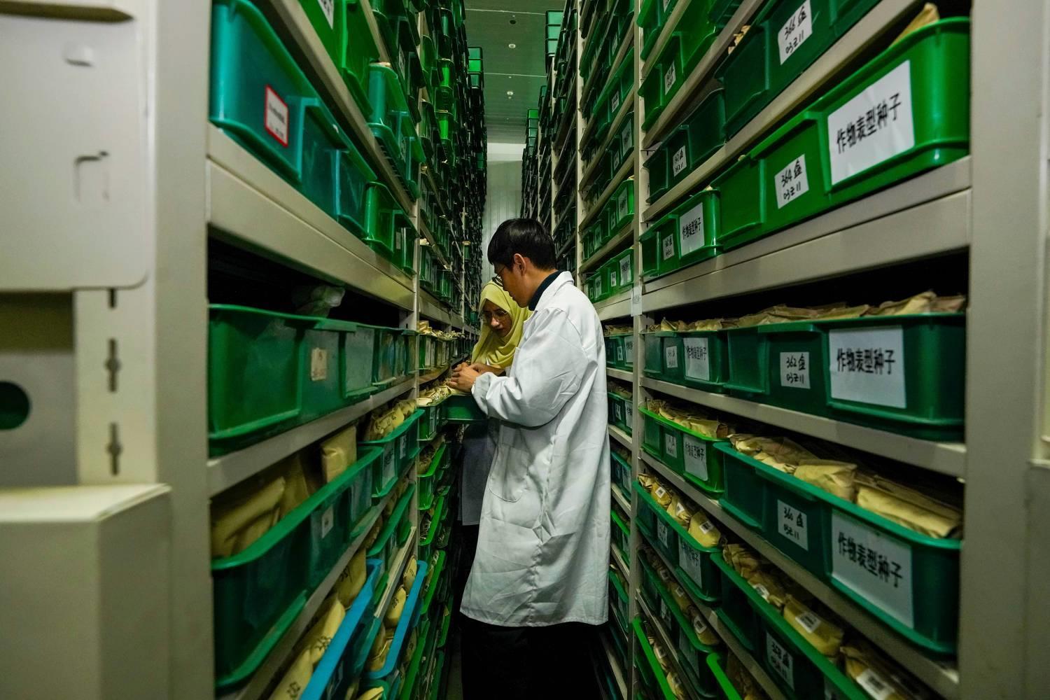 陈国兴《镜鉴粮芯 》组照 (3).jpg