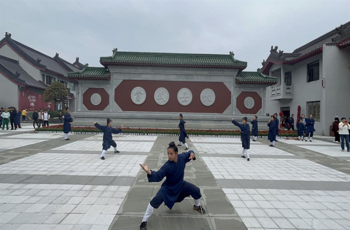 武术表演.png