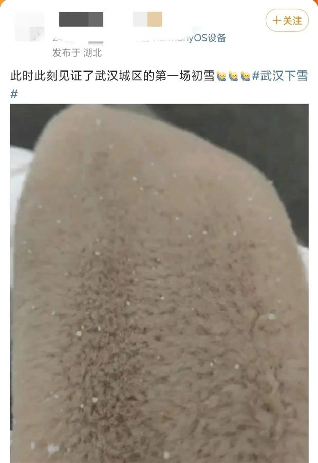 武汉下雪了！你看到了吗