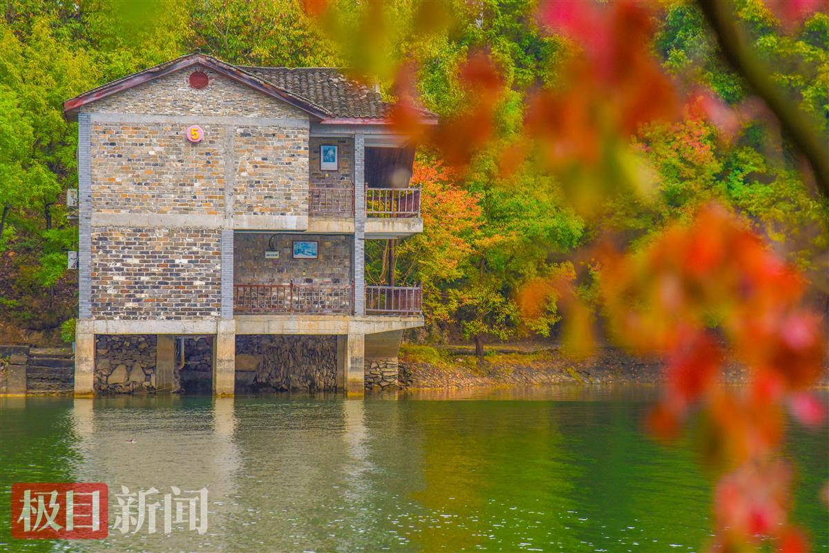 10月17日，随州市随县大洪山水库琵琶湖景区，秋色掩映水岸民宿。（极目新闻记者 黄志刚 摄）.jpg