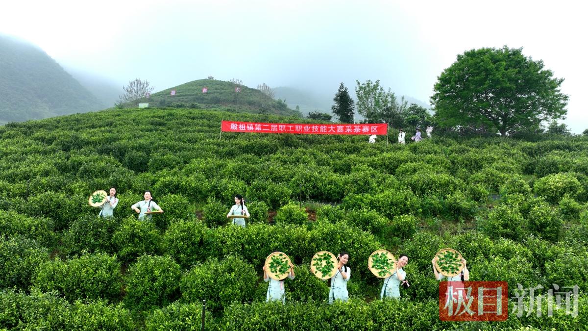 图片10.jpg