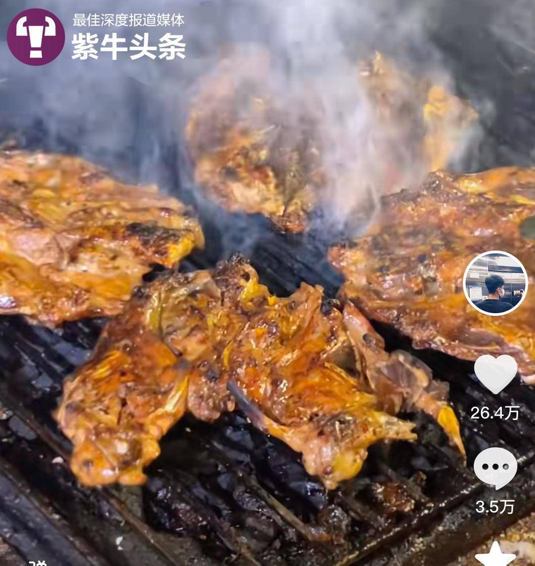 每个周末去不同城市旅游！一年下来小伙记录的美食故事治愈无数上班族