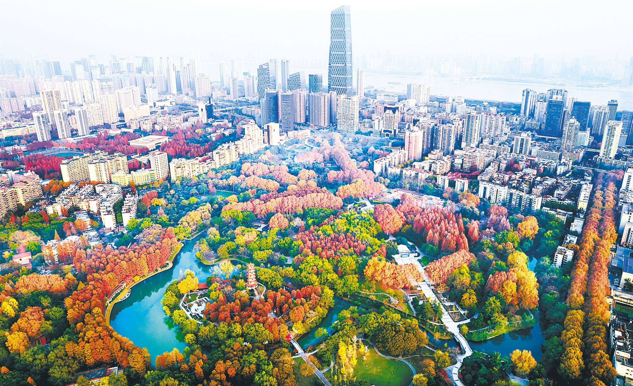 Winter Scenery Of Jiefang Park Wuhan 
