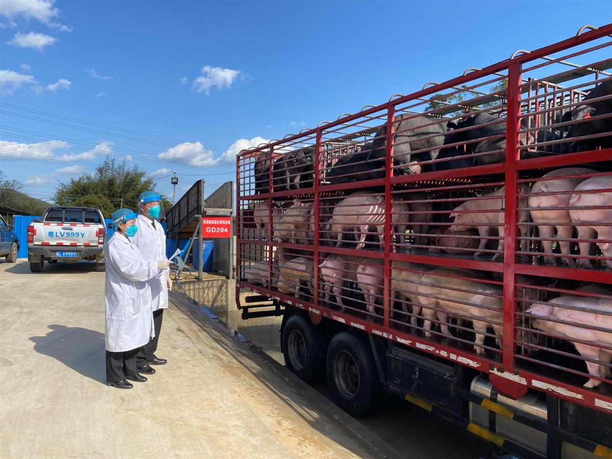 海关人员现场监督装车