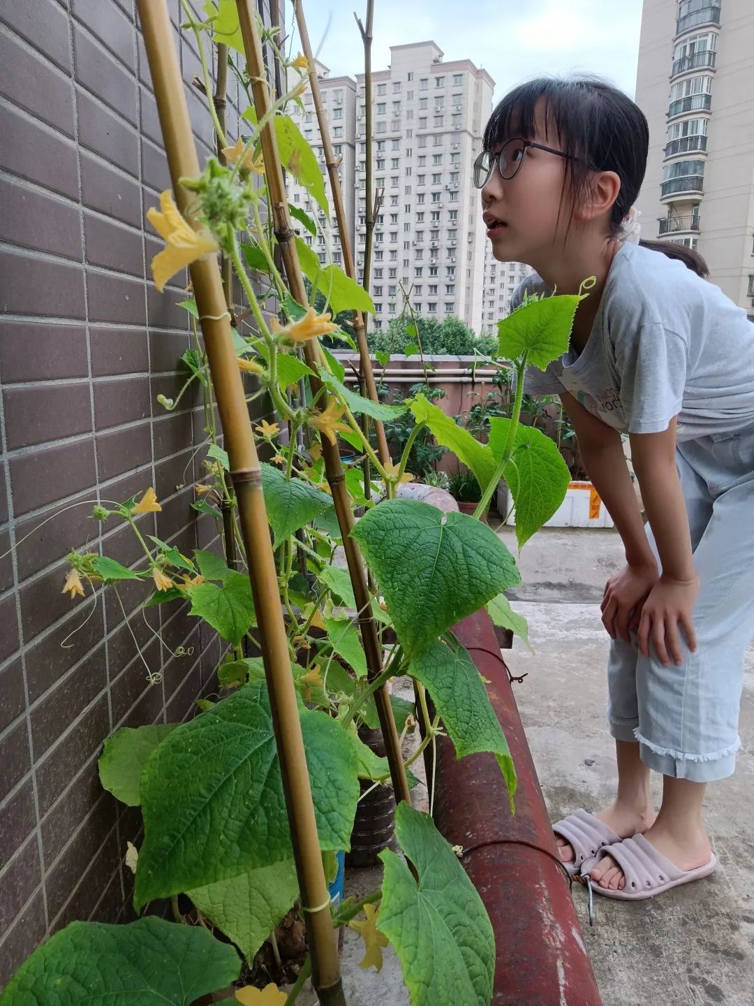 左璟靖 武汉市钢城第四小学601班