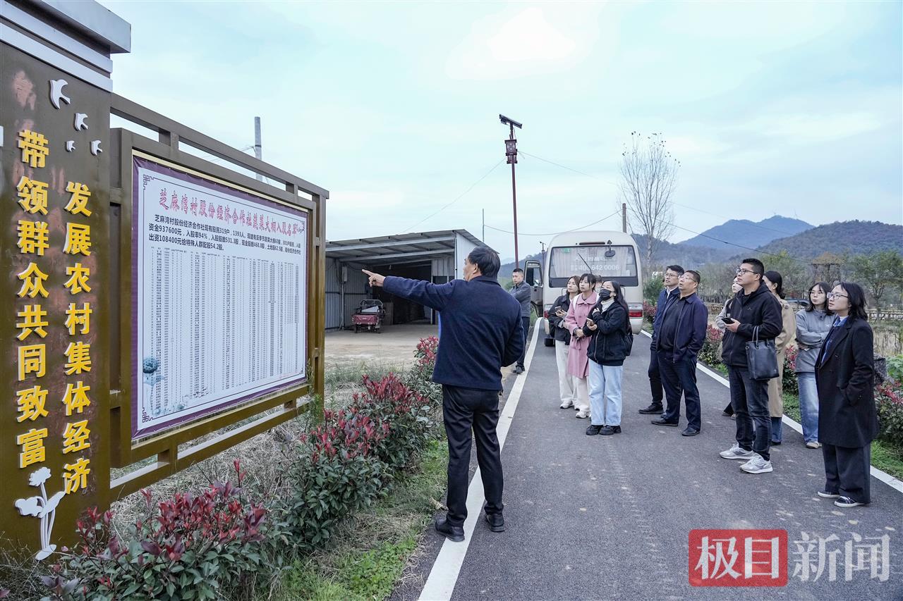 全国媒体探秘广水：党建“金钥匙”解锁乡村振兴的“广水样板” | 极目新闻