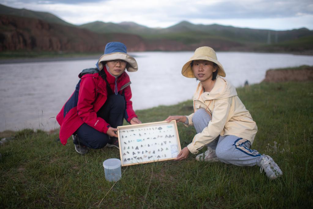 7月26日，江源科考队员张国月（左）与樊雅东展示采集到的昆虫标本。新华社记者 肖艺九 摄