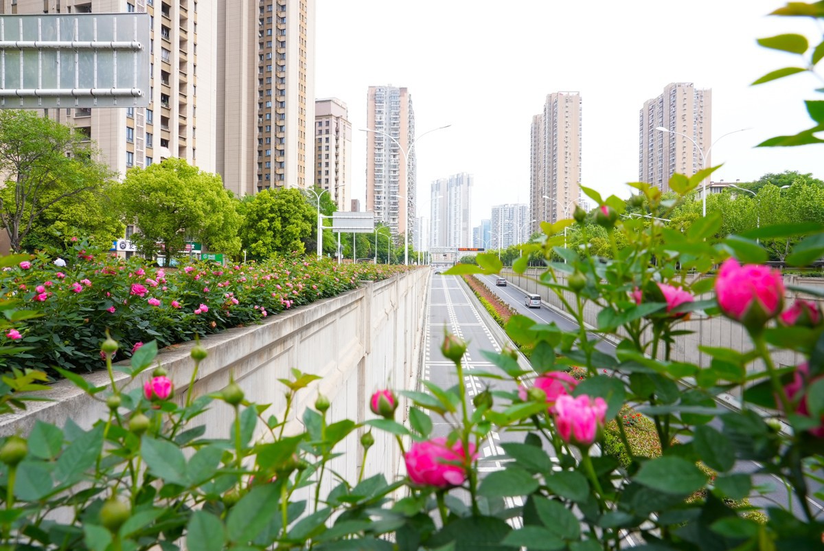 秦园中路公铁隧道出入口 (2).JPG