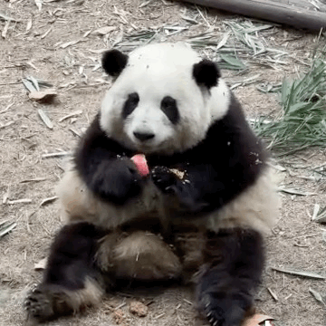 創紀錄， 藍色光標戛納軍團一舉斬獲10座獅子