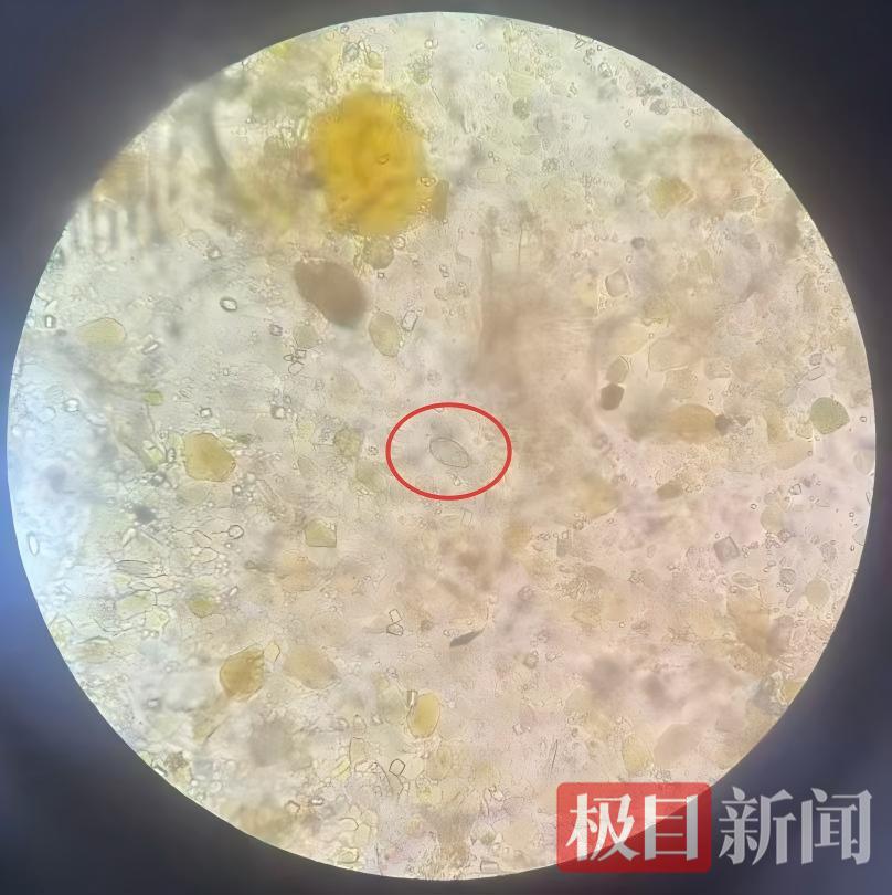 b56b0ac05f3da814afbeef99526ed061.jpg