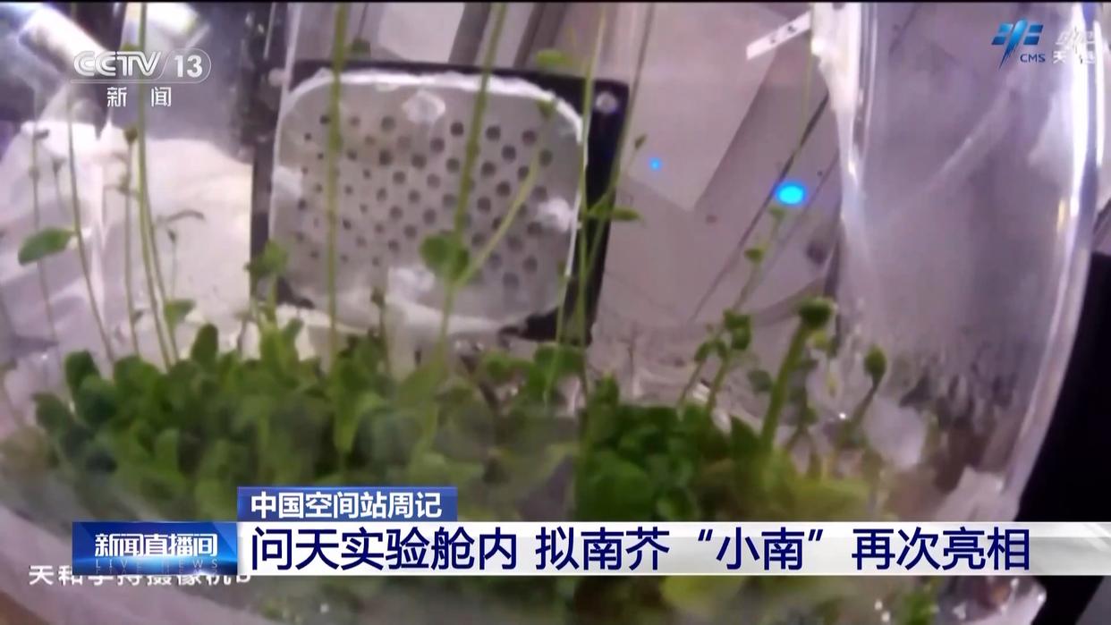 神舟二十一号乘组太空出差实录，两个月的工作与生活揭秘！