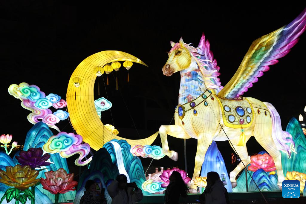Lantern fair celebrating upcoming Chinese New Year held in Lanzhou ...