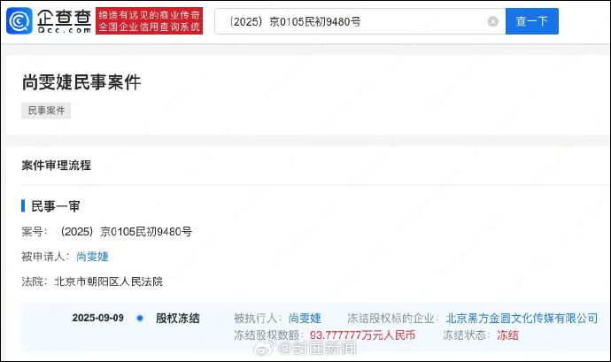 尚雯婕被冻结93万股权