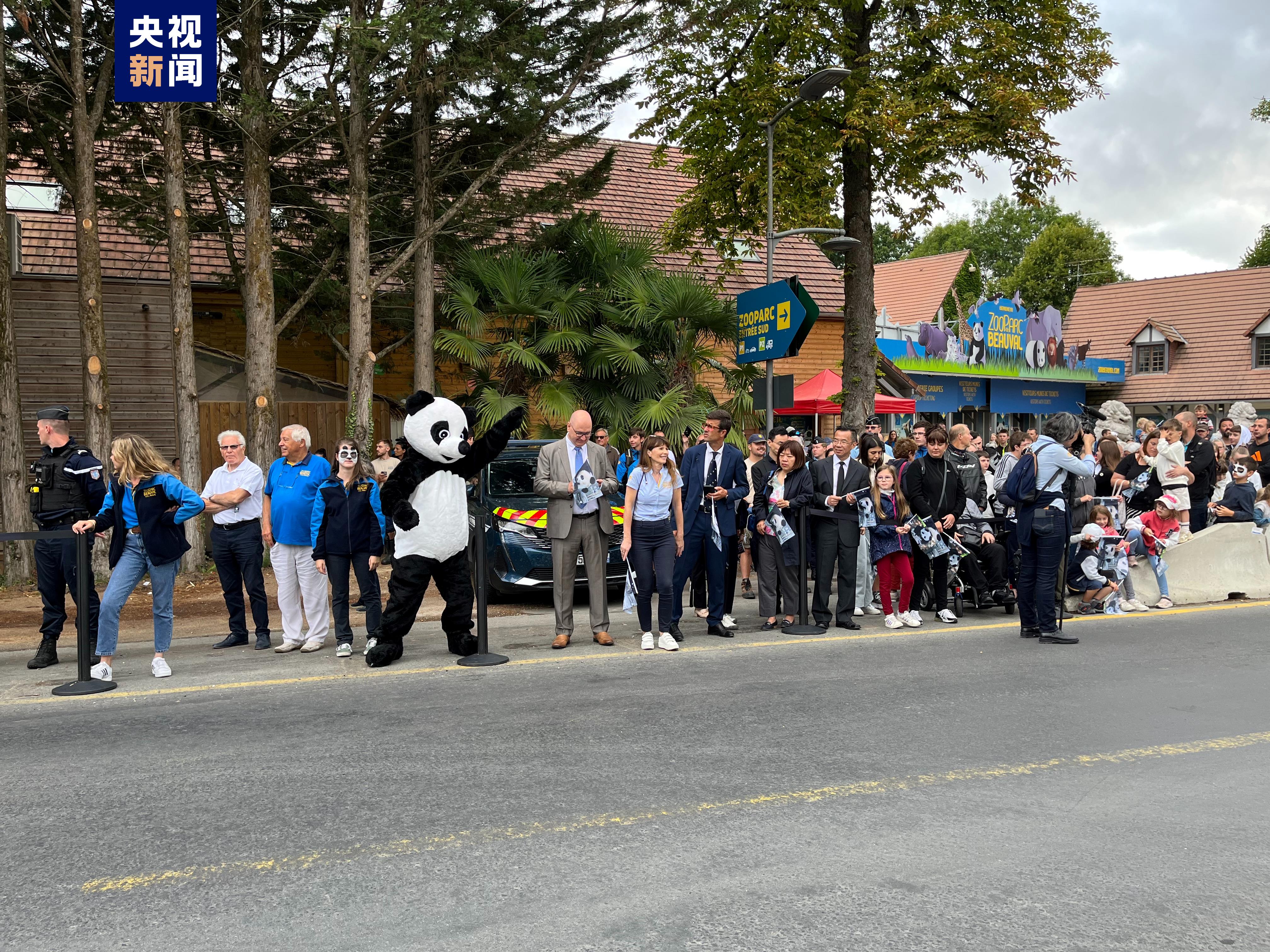 旅法大熊猫“圆梦”今日回国，法国第一夫人将前往机场送别