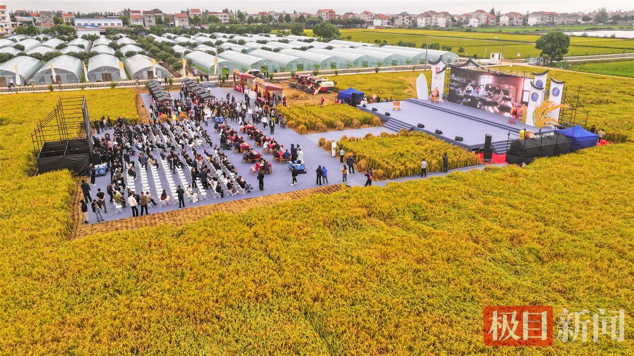 9月23日，湖北监利，水润荆楚·江米如珠，全国主流媒体走进江汉大米品牌核心地品牌推介会现场。（监利融媒记者 饶志超 摄） (3).jpg