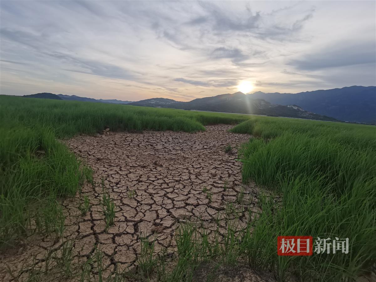 小标3：干涸的鄱阳湖.jpg