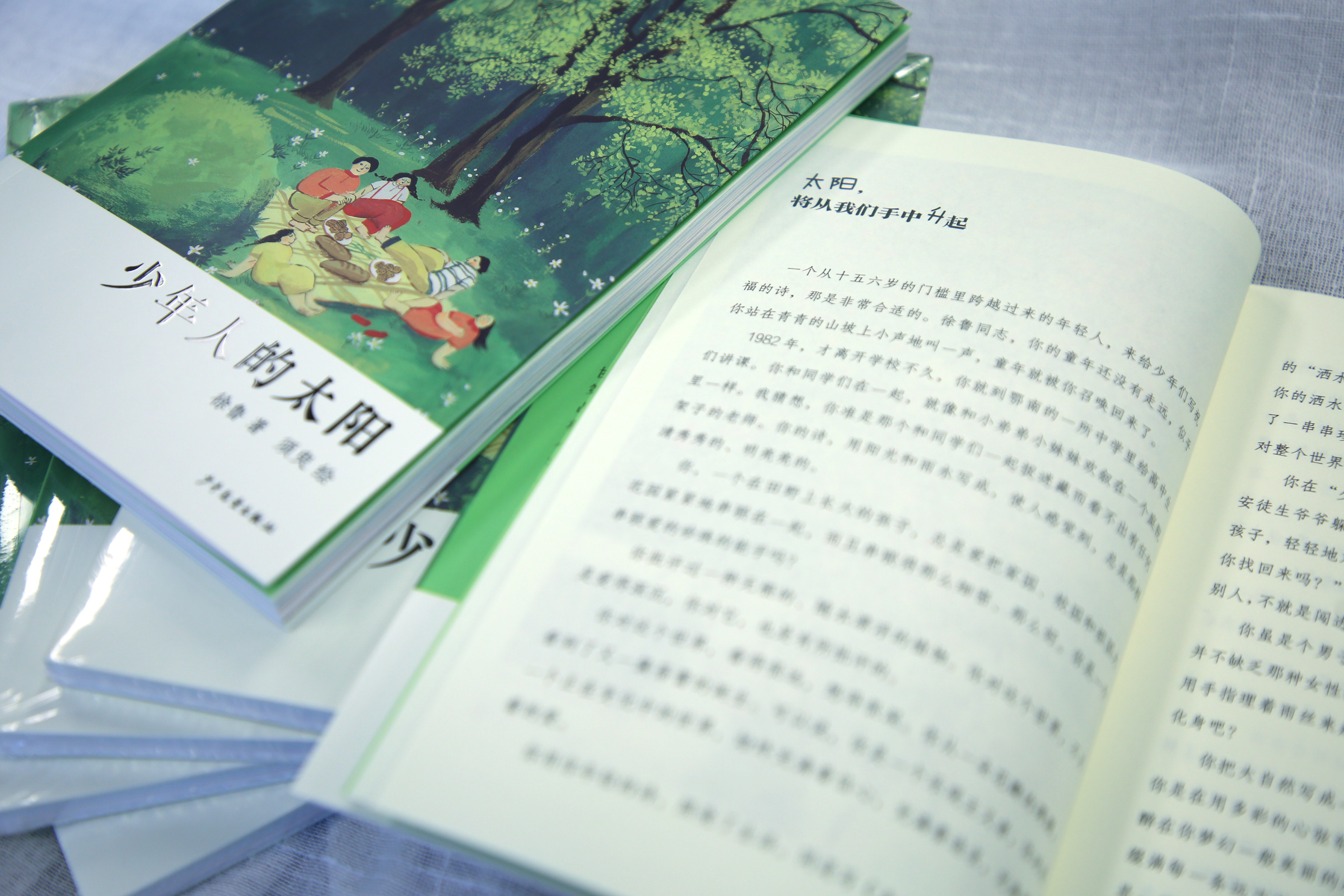 《少年人的太阳》