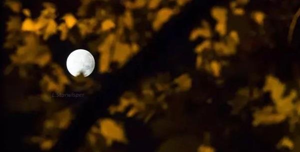 △图片来源：中国国家天文