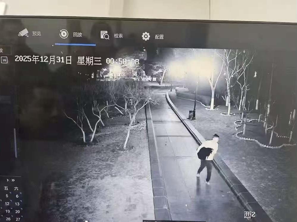 大连儿童公园黑天鹅失窃后续，市民积极放生遭管理方劝阻，呼吁保护天鹅栖息地而非人工干预