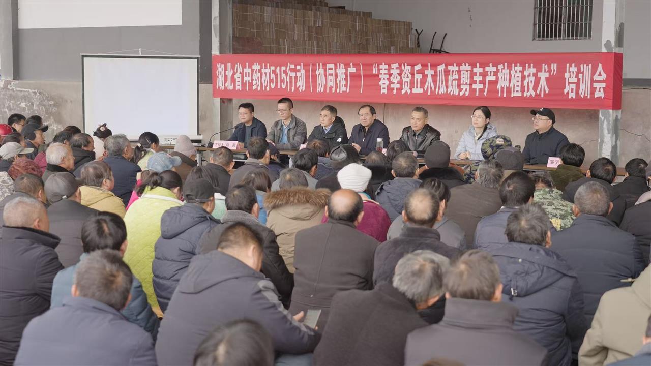 开展木瓜疏剪丰产培训会。学校供图.jpg