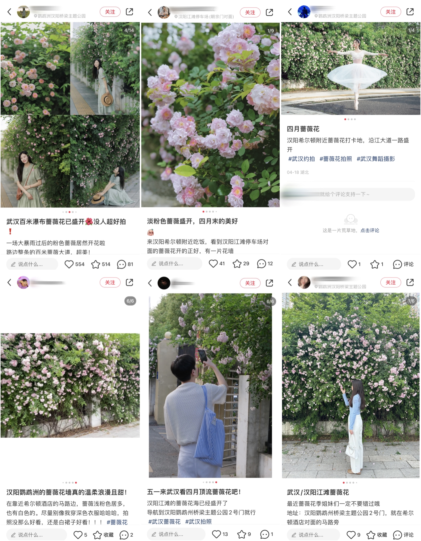 小红书博主纷纷前往打卡