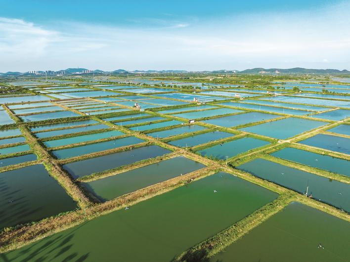 生态和美（舒运平摄）
