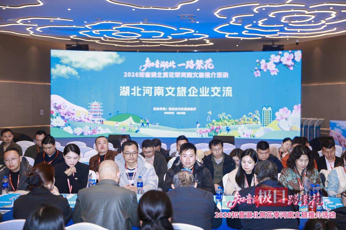 郑州推介会河南文旅企业交流.jpg