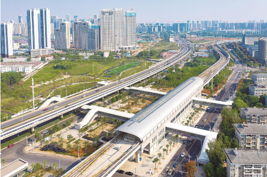 白沙洲高架上的汽车与地铁5号线竞跑