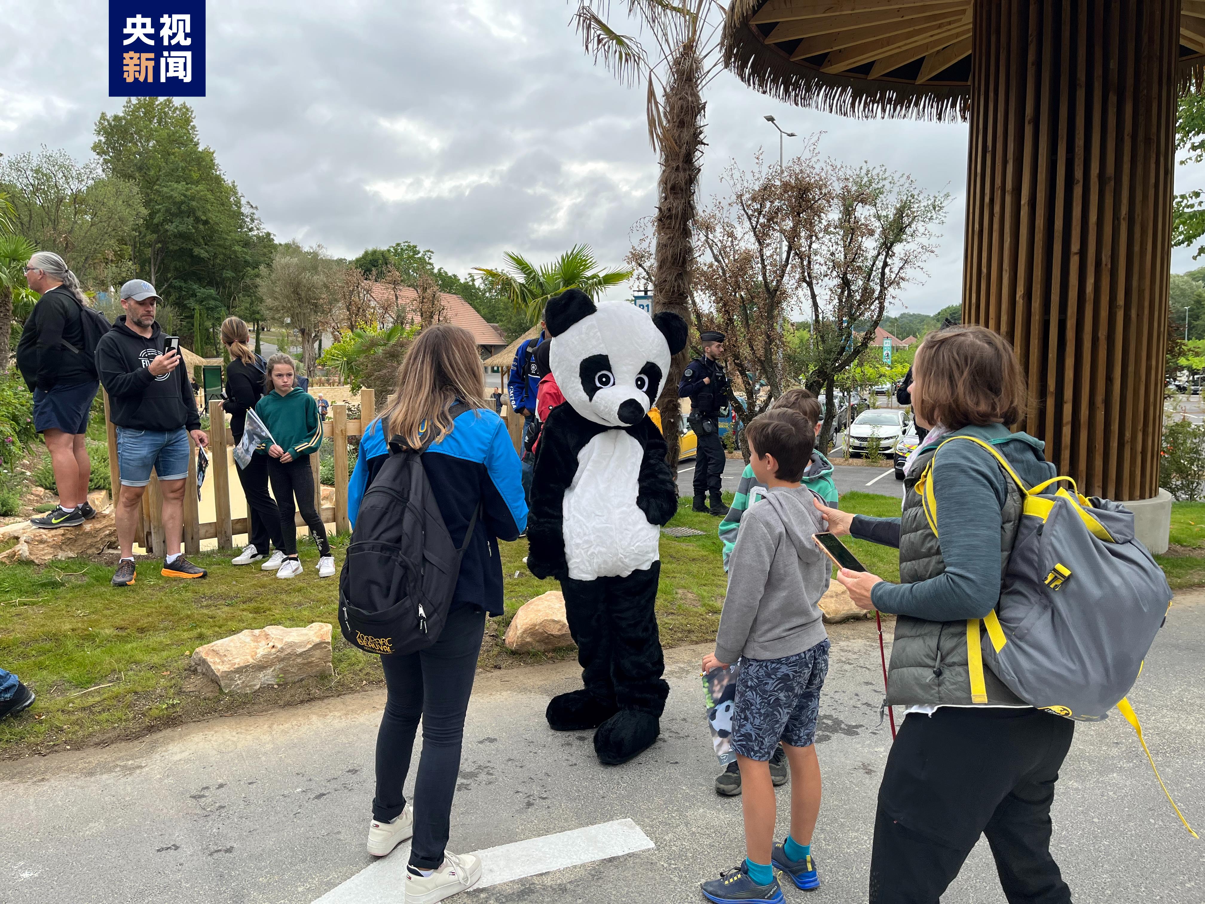 旅法大熊猫“圆梦”今日回国，法国第一夫人将前往机场送别