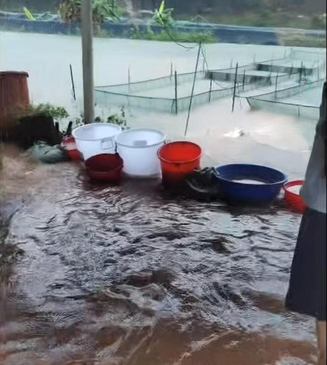 雨水罐向鱼塘.jpg