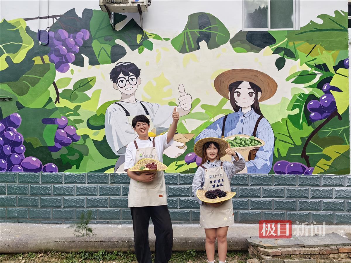 结合葡萄产业墙绘百余平方米画卷，首义学子做乡村代言人 | 极目新闻
