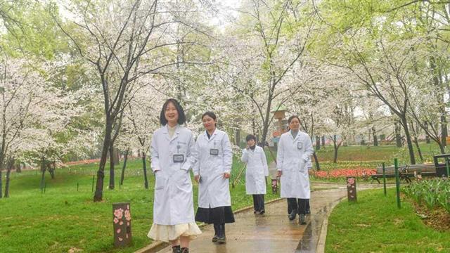 医护人员应邀赏樱时感慨：粉白的樱花像我们的生活一样美好