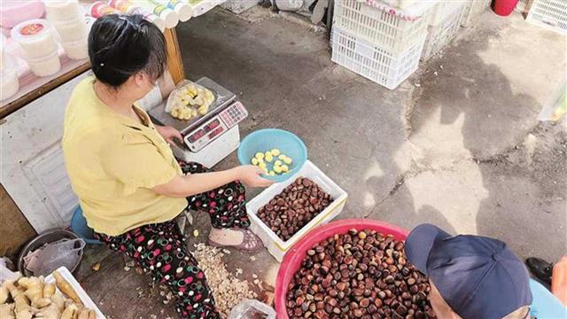 Amazing China Colorful Jingchu：Autumn Arrives in the Aroma of Chestnuts