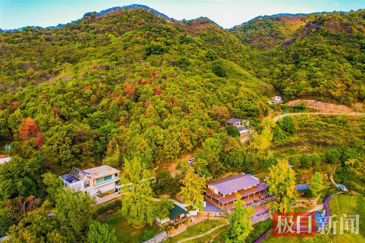 10月18日，随州市随县柳林镇双利村的“山月随人·明玉珍”韩屋度假区一隅。（极目新闻记者 黄志刚 摄）.jpg