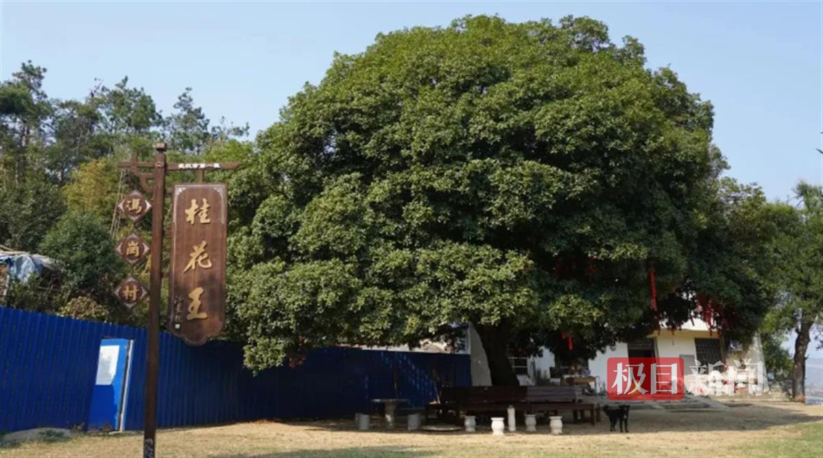 联想截图_20241023151838.png