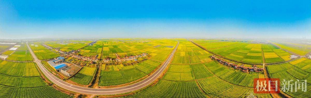 千里江陵花如海。（极目新闻记者 黄志刚 摄）.jpg