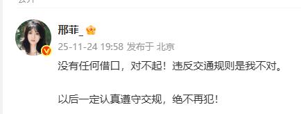 演员邢菲道歉：没有任何借口，对不起！违反交通规则是我不对