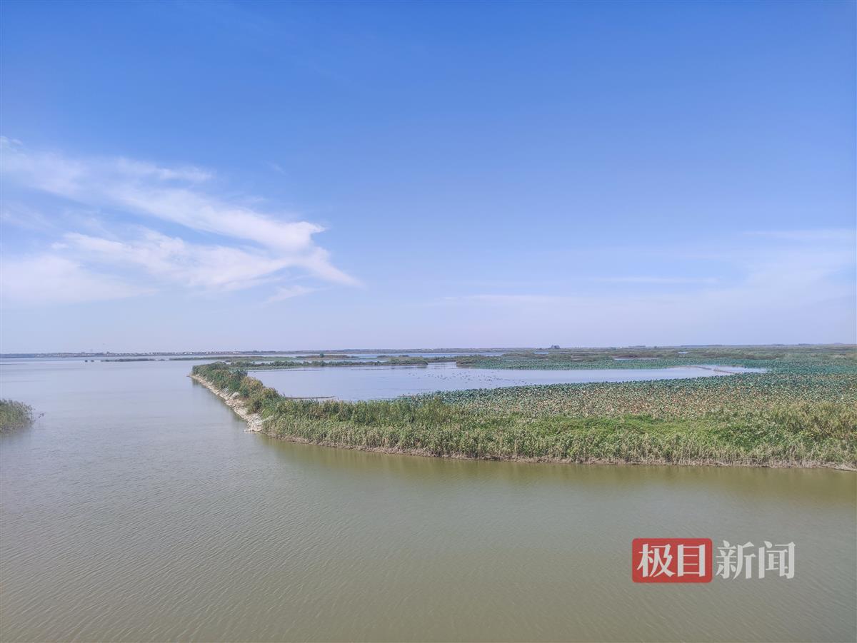 闻声识鸟沉湖湿地用高科技守护候鸟安居天堂