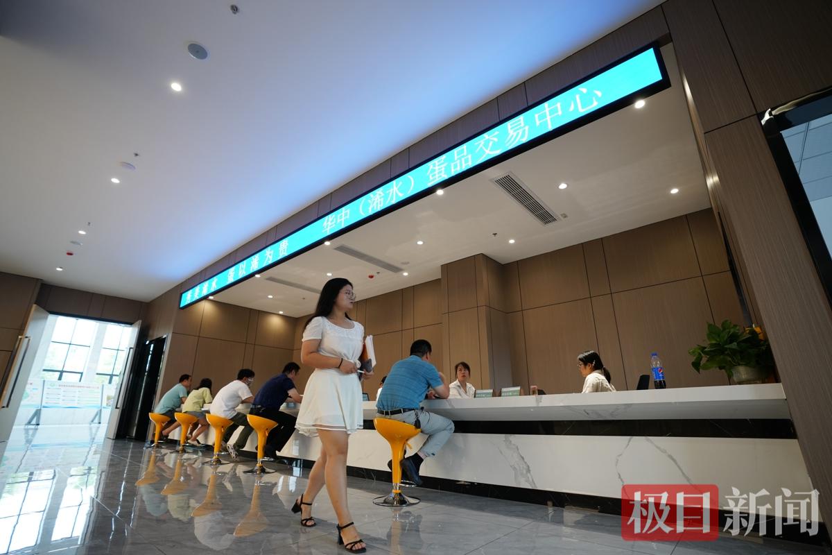 华中蛋品交易中心现场 袁杰摄.jpg