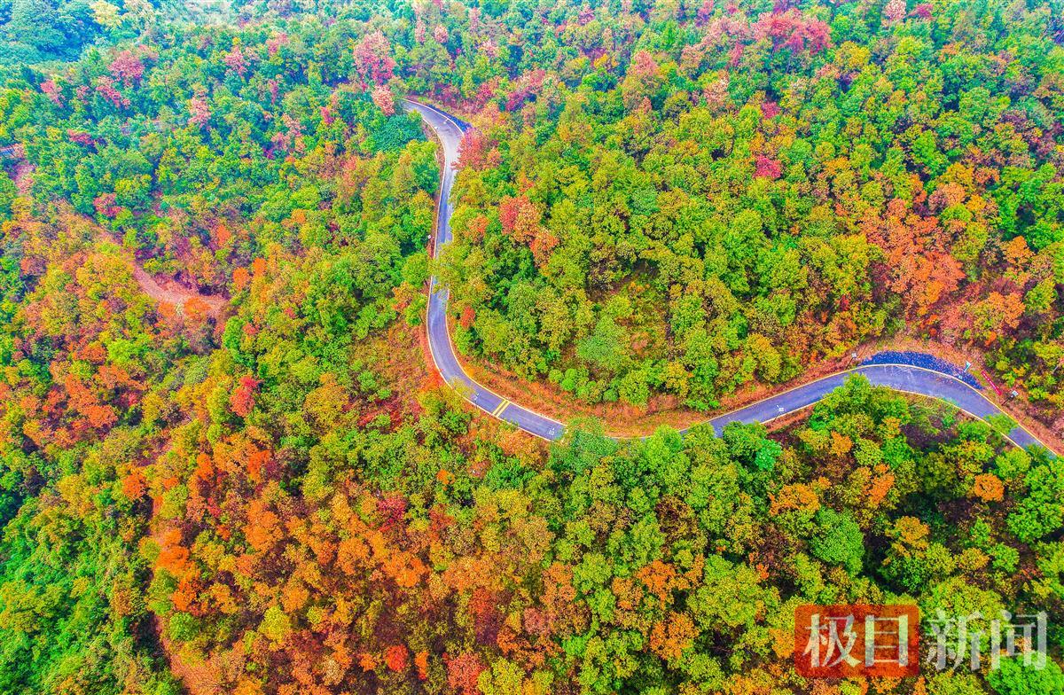 10月17日，随州市随县大洪山秋色。（极目新闻记者 黄志刚 摄）.jpg