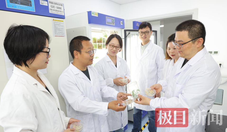 张勇洪教授（左二）与团队成员正在分析培养细胞的生长状态.png