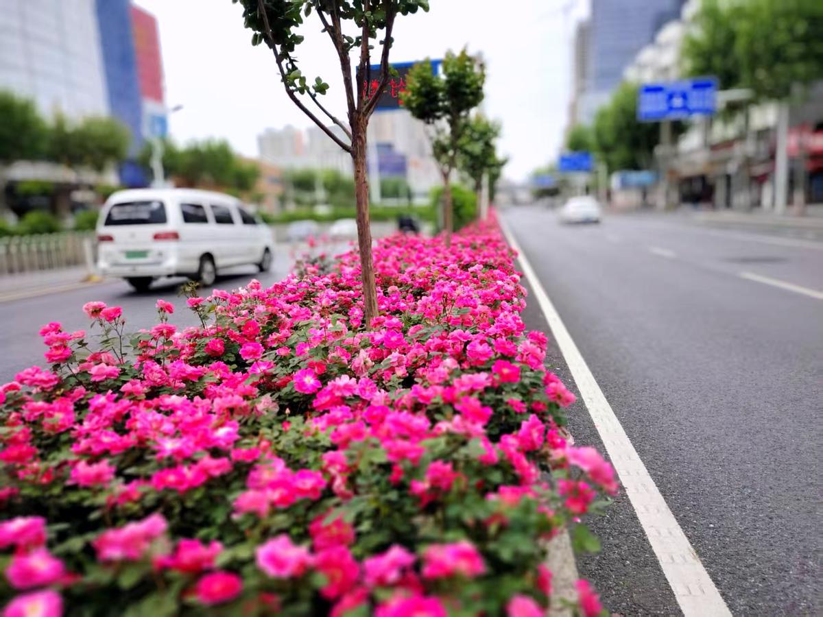 友谊大道快速路 (2).jpg