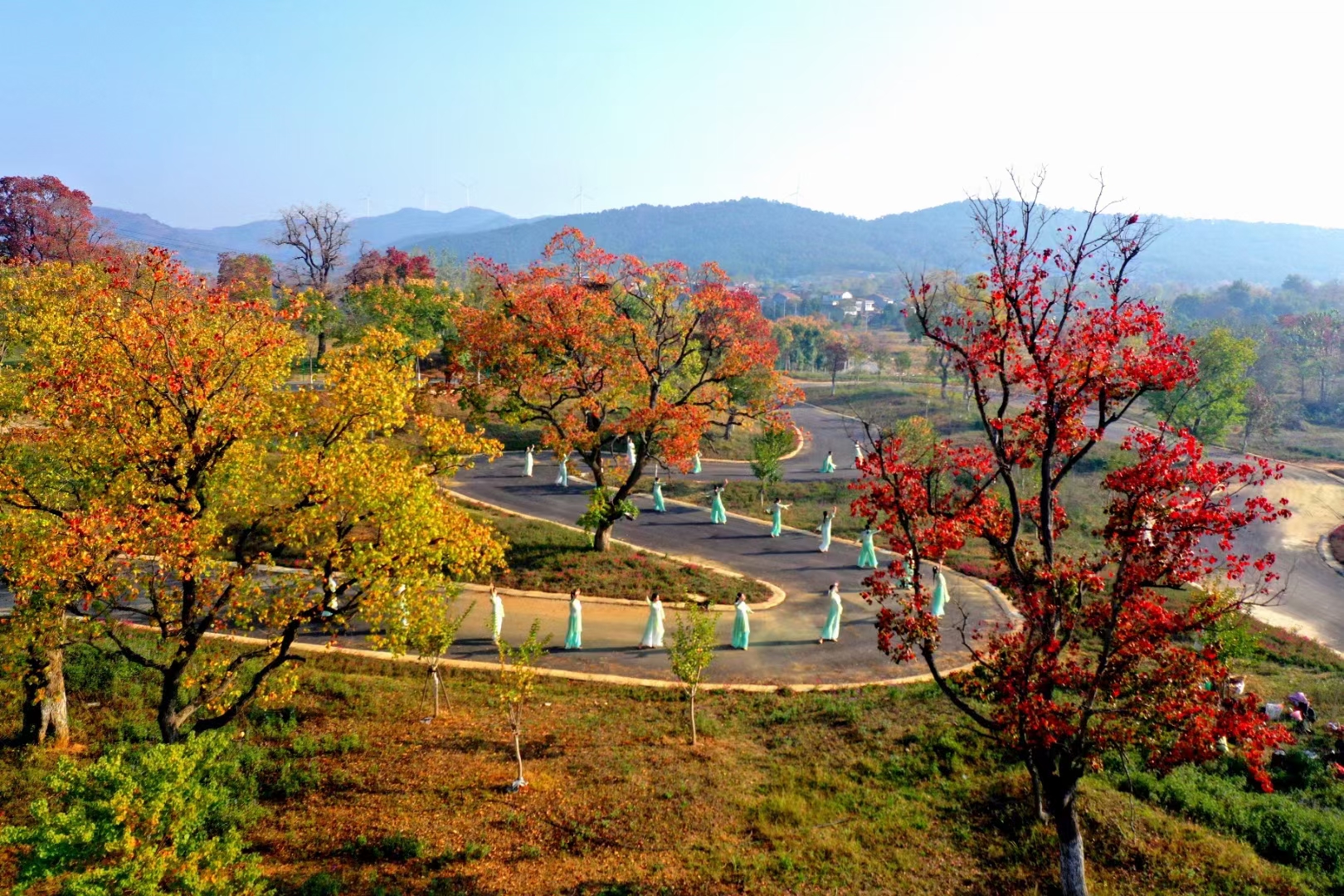 层林尽染，漫山红遍