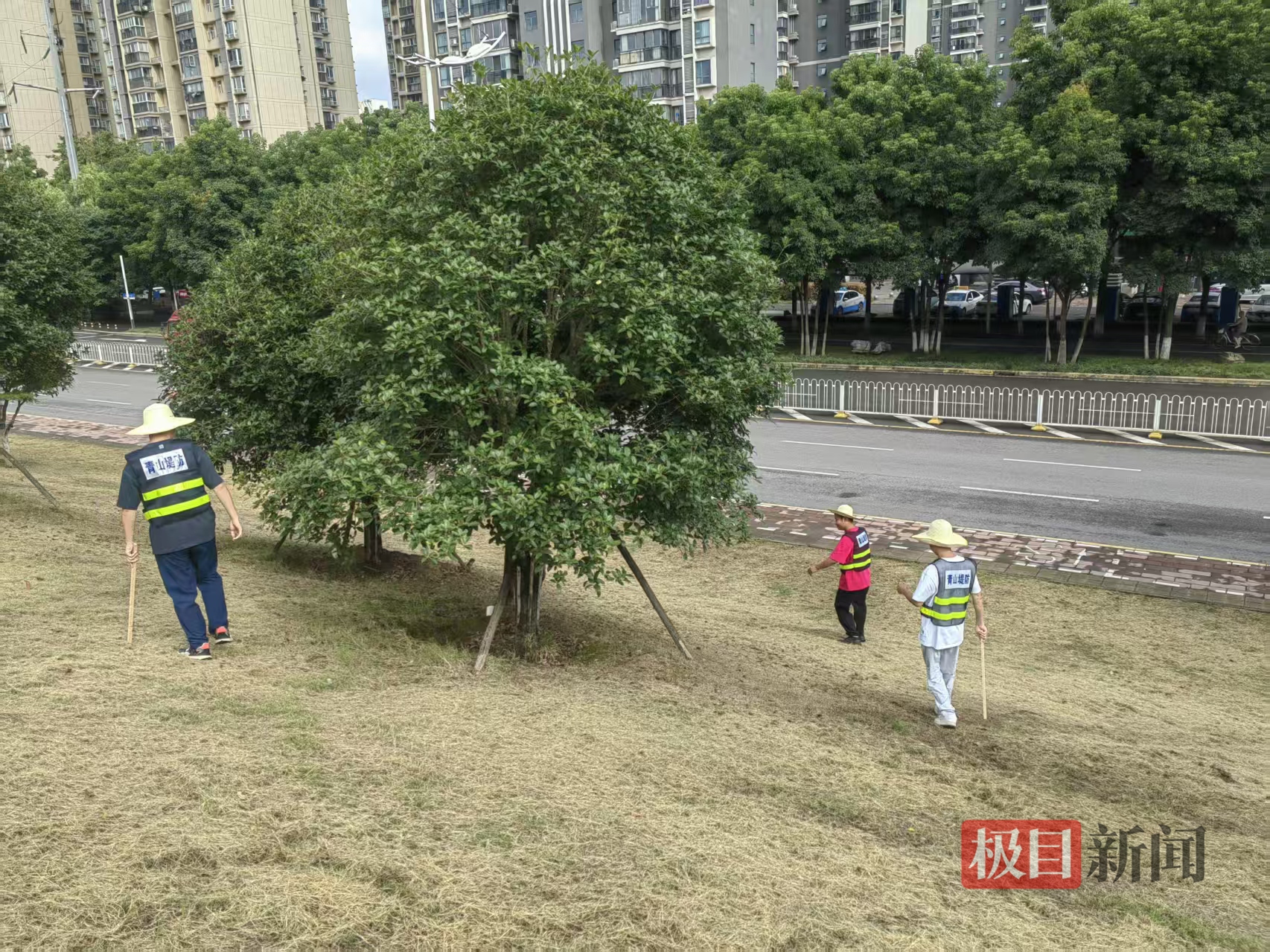 微信图片_20260811165600_58_3391.jpg