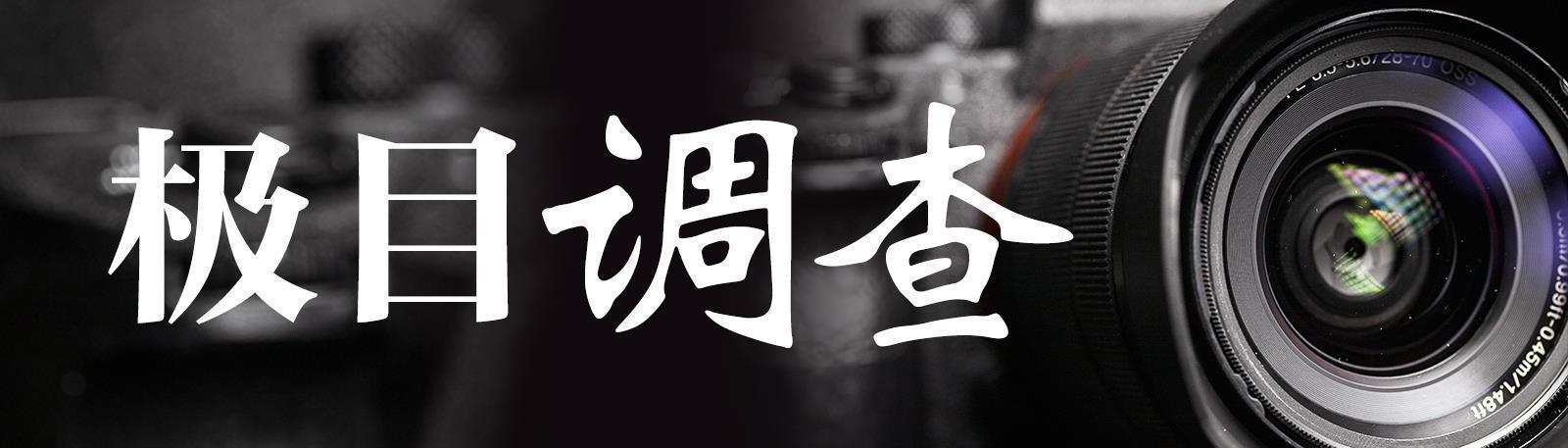 极目调查.jpg