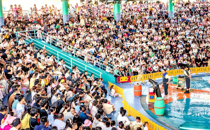 五一假期首日，湖北多地景区火爆，武汉入围国内十大热门目的地