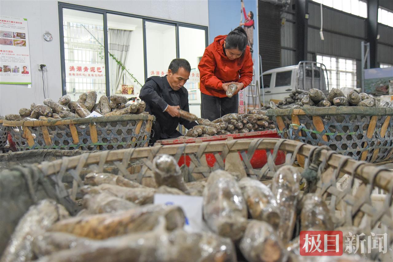 王文娟和丈夫杨晶在车间检查分类覆膜的莲藕 （极目新闻记者 黄志刚 摄）.jpg